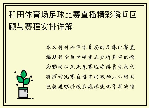 和田体育场足球比赛直播精彩瞬间回顾与赛程安排详解